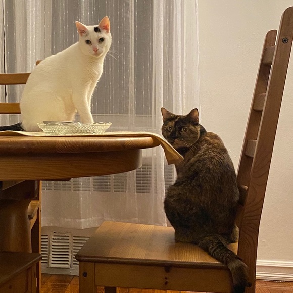 Make a bundle! Make an offer! - Picture 2 of 2